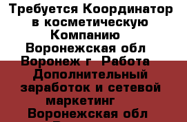 Требуется Координатор  в косметическую  Компанию - Воронежская обл., Воронеж г. Работа » Дополнительный заработок и сетевой маркетинг   . Воронежская обл.,Воронеж г.